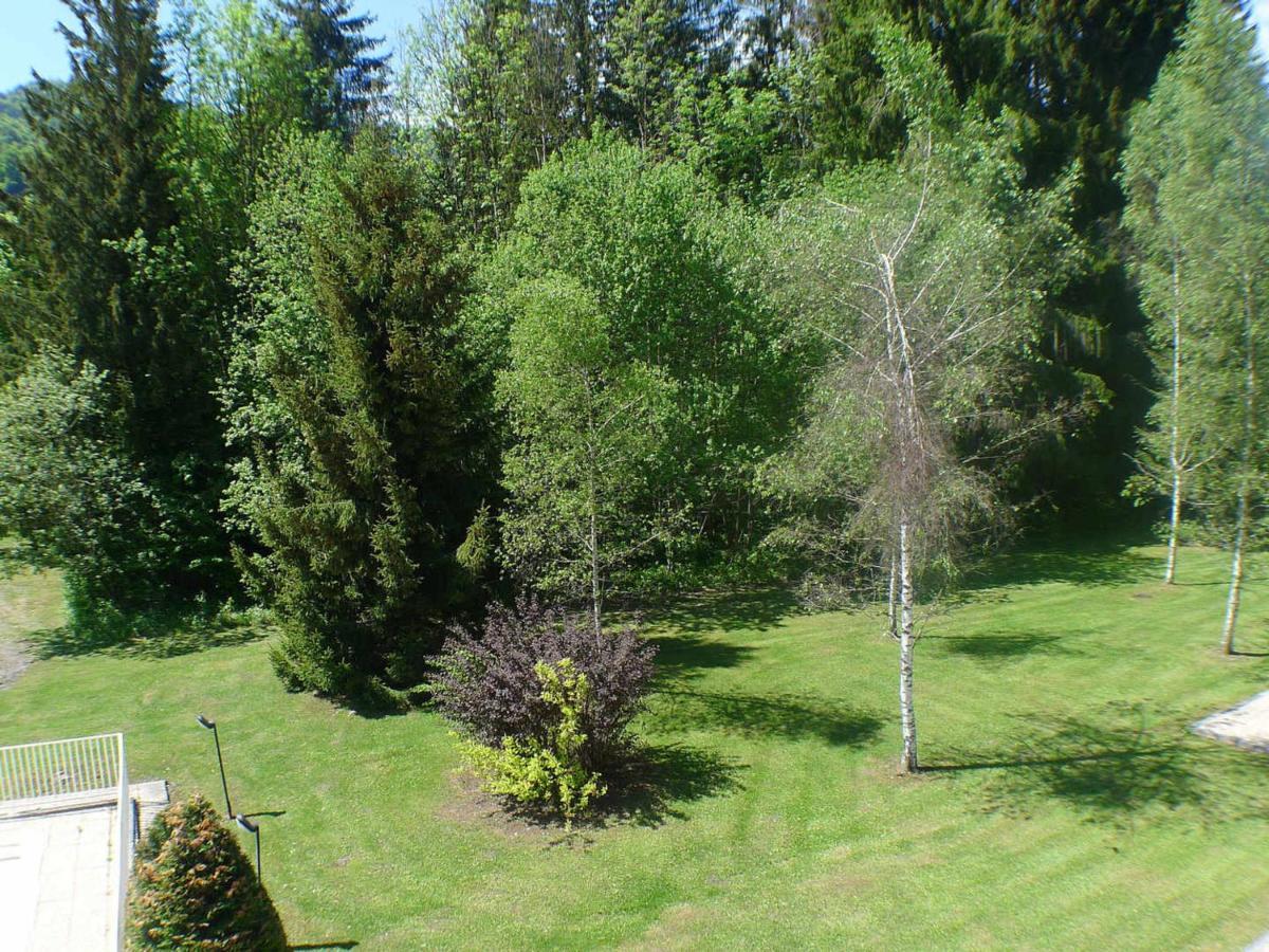 Appartement Confortable Avec Piscines, Terrasse Et Parking A Samoens - Fr-1-629-100 Εξωτερικό φωτογραφία